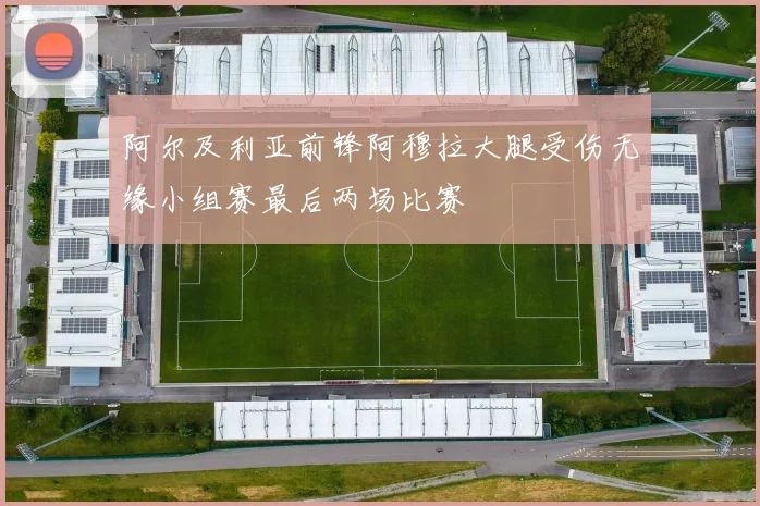 阿尔及利亚前锋阿穆拉大腿受伤无缘小组赛最后两场比赛