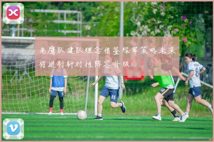 老鹰队建队理念借鉴绿军策略未来将进行针对性阵容升级